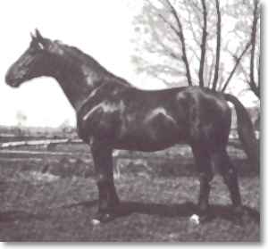 Humboldt