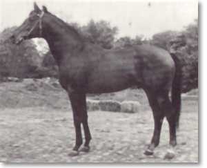 TOTILAS
